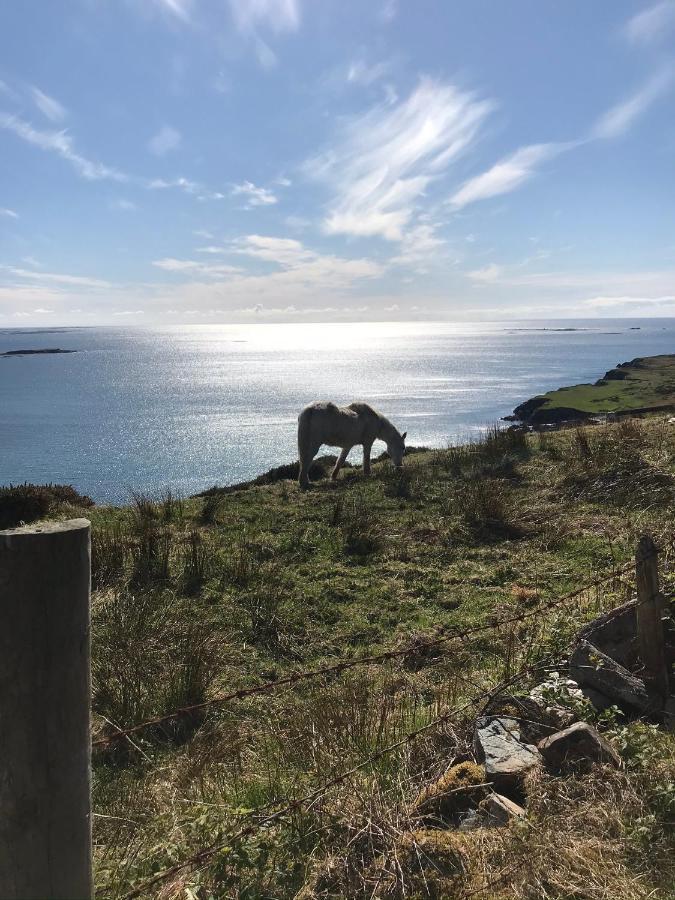 Seafield House B&B Clifden Bagian luar foto