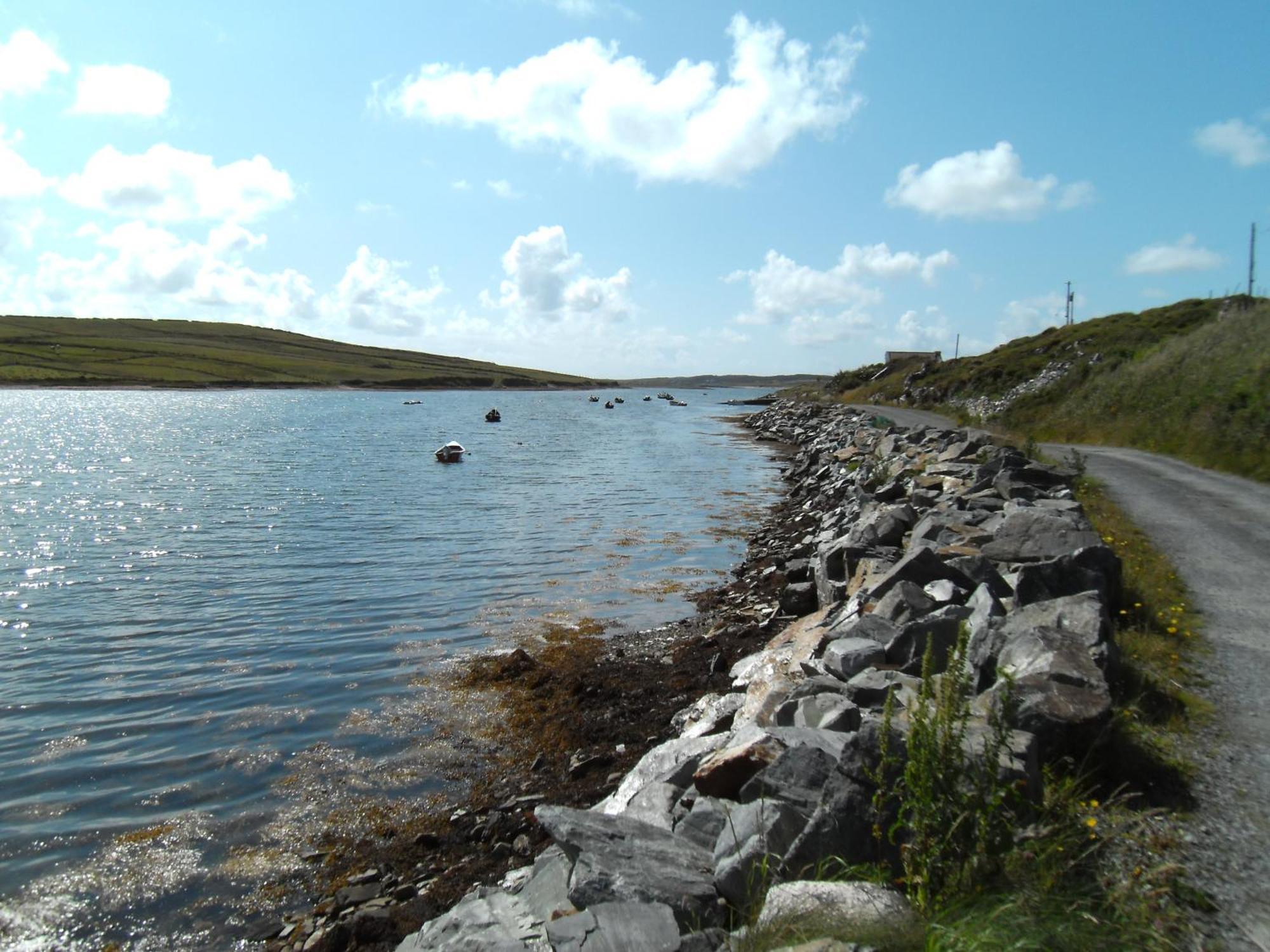 Seafield House B&B Clifden Bagian luar foto